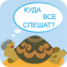 Куда все спешат