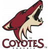 Логотип Arizona Coyotes - Аризона Койотис